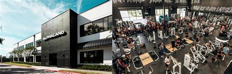 how much is alphaland membership|Alphaland & the weird world of influencer gyms